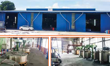 Công Ty TNHH New Sơn Việt