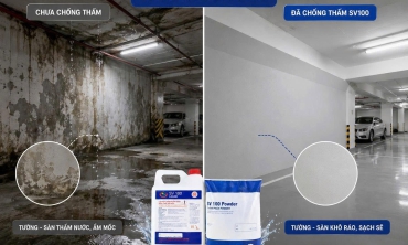 Sơn Chống Thấm cho tầng hầm
